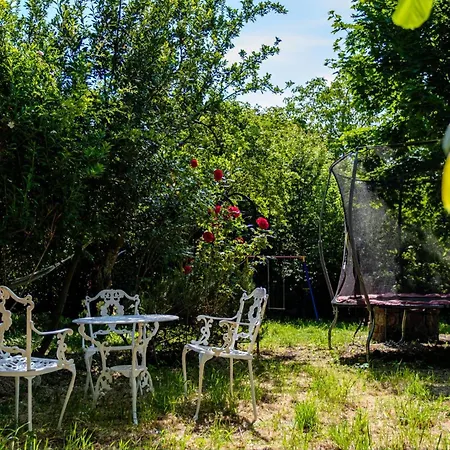 Mitten Im Weinparadies