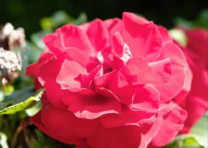 公寓 Mitten Im Weinparadies