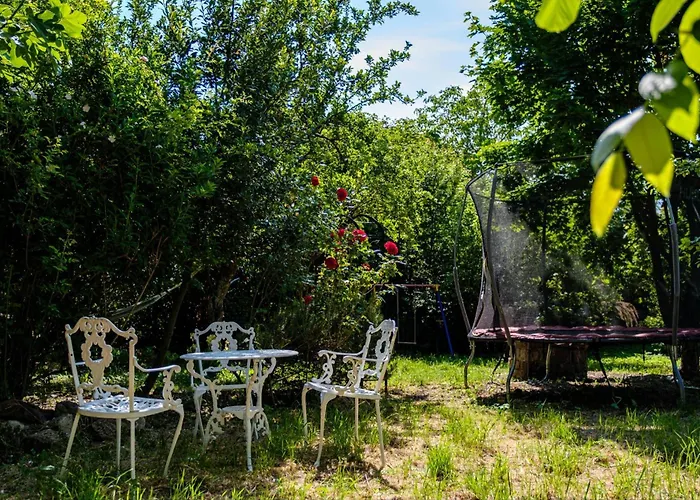 Mitten Im Weinparadies